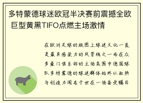 多特蒙德球迷欧冠半决赛前震撼全欧 巨型黄黑TIFO点燃主场激情